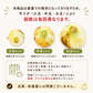 予約【6月30日までに注文順に発送】旬のトロ甘「新玉ねぎ」をたっぷりお届け！約1.9㎏（最低1800g保証）農家直送【九州～関西～関東～北陸 発送可】【カウシェファーム収穫対象商品】送料無料