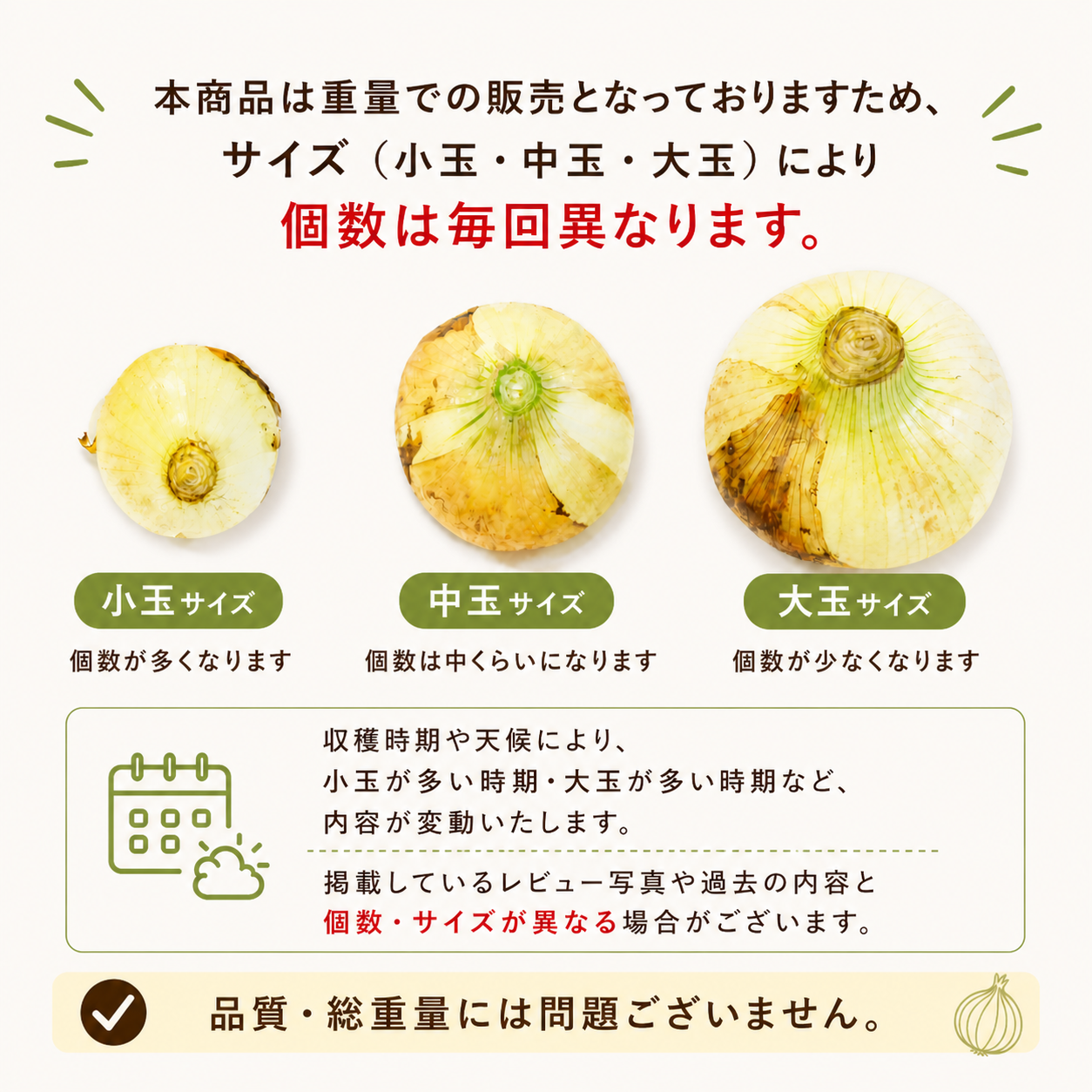 予約【6月30日までに注文順に発送】旬のトロ甘「新玉ねぎ」をたっぷりお届け！約1.9㎏（最低1800g保証）農家直送【九州～関西～関東～北陸 発送可】【カウシェファーム収穫対象商品】送料無料