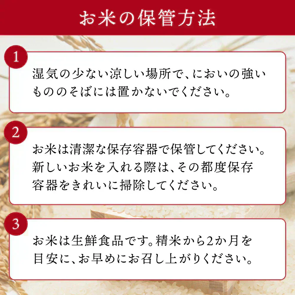【新米】令和7年 山形県産 こしひかり 10キロ (精米) 5kg×2袋  送料無料 米 コメ おこめ 新米