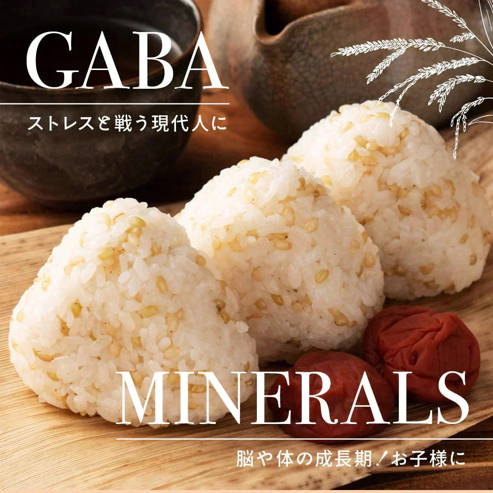 雑穀 雑穀米 国産 緑米 1.6kg(400g×4袋) 人気サイズ 無添加 無着色 送料無料 古代米 みどりまい