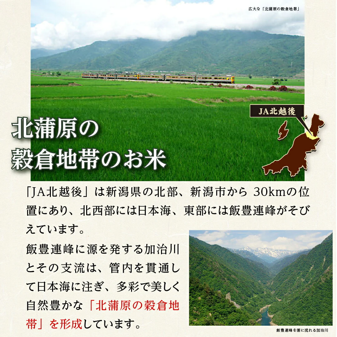 米 精米 新潟県 特別栽培米 こしひかり 5kg 令和5年産 新米 JA北越後指定 お米 白米 おくさま印 国産 食品 ギフト 引っ越し 挨拶 出産 内祝い 母の日 父の日 お中元 お歳暮 結婚 快気 還暦 香典返し お年賀 送料無料