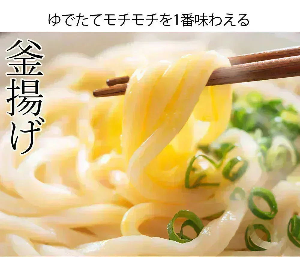 うどん 讃岐うどん 約６人前 600g (300gx2袋) つゆ付き 送料無料 本場讃岐 純生うどん 太麺 うどん お取り寄せ siawase6-tuyu