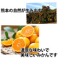 みかん ハウスみかん 送料無料 2kg 熊本県産 蜜柑 ミカン 温室みかん ギフト 贈答 御中元 フルーツ