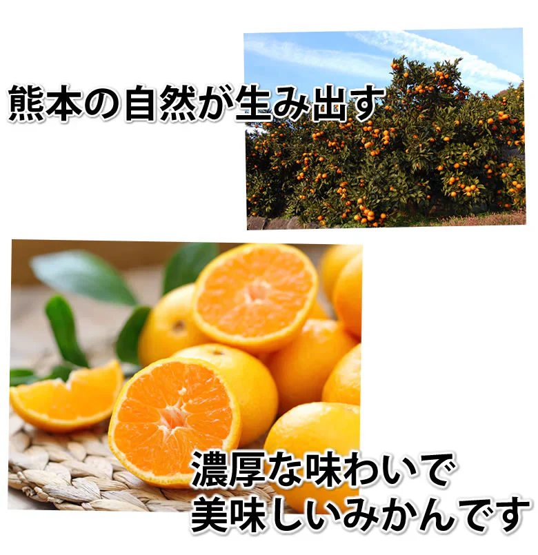 みかん ハウスみかん 送料無料 2kg 熊本県産 蜜柑 ミカン 温室みかん ギフト 贈答 御中元 フルーツ