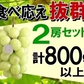 福島県産 秀品 シャインマスカット 大房２房セット