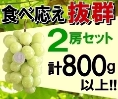 福島県産 秀品 シャインマスカット 大房２房セット