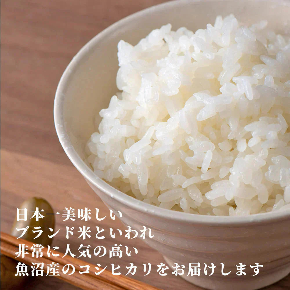 【白米】令和7年産 魚沼産 コシヒカリ 30kg(5kg×6袋) 精白米 国産 国産コシヒカリ100％ 送料無料 精米工場からの直送品