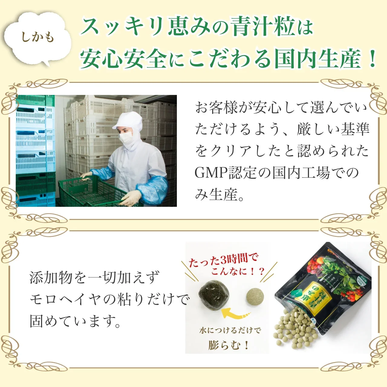 スッキリ恵みの青汁粒 100粒入り　3袋セット