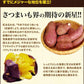 さつまいも 紅はるか べにはるか 1.5kg 送料無料 芋 熊本県産 スイーツ お取り寄せ 11月上旬-12月上旬頃より発送予定