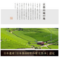ゆたかみどり 鹿児島茶 緑茶 エピガロカテキン 山城物産 カテキン 100g