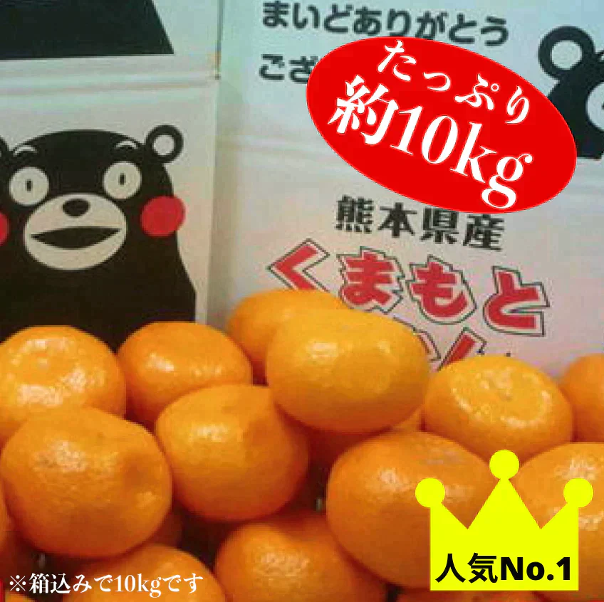 熊本産 みかん 訳あり 約10kg（箱込10kg 9kg+保証分500g）ご家庭用 送料無料 ※不良500g以上の場合は再送対応可能【ご新規さん限定商品】