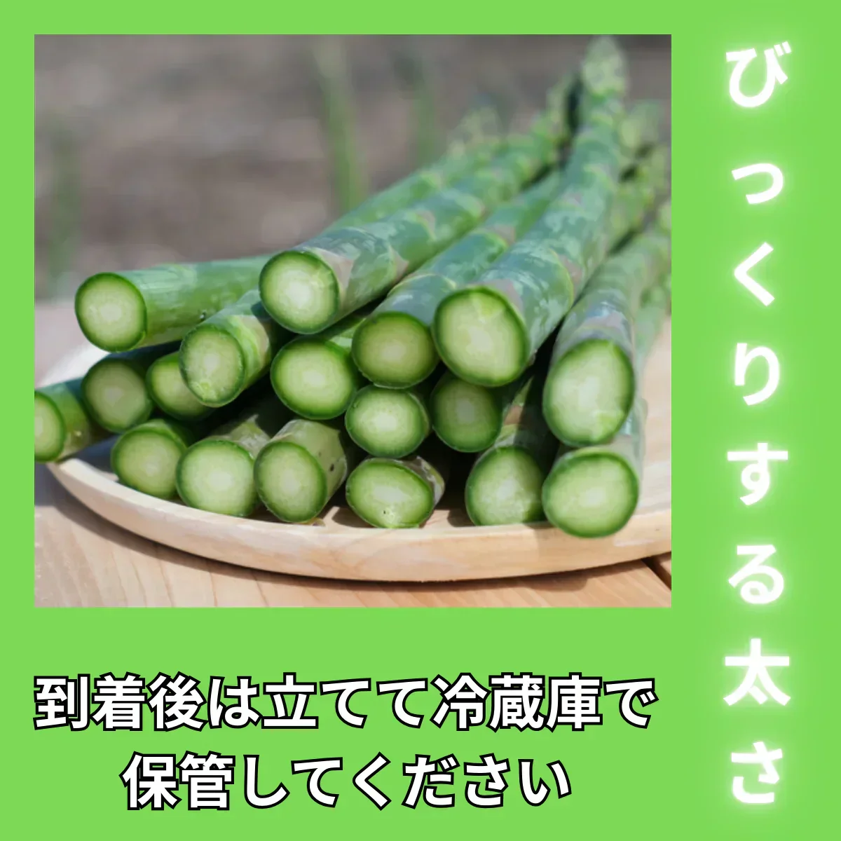 500g【朝採順次発送中】北海道産アスパラガス500g グリーンアスパラ アスパラ
