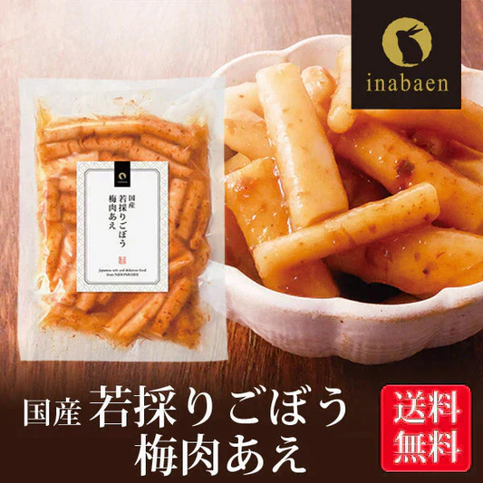 日本橋いなば園 国産 若採りごぼう 梅肉あえ 120g メール便 送料無料