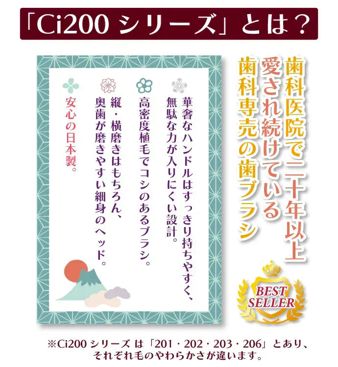 歯ブラシ Ci202(Mふつう) 4色アソート 4本セット【歯科医院専売品】【メール便送料無料】