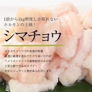 牛シマチョウ（高品質ホルモン）焼肉/BBQ用 1kg（100g×10パック）