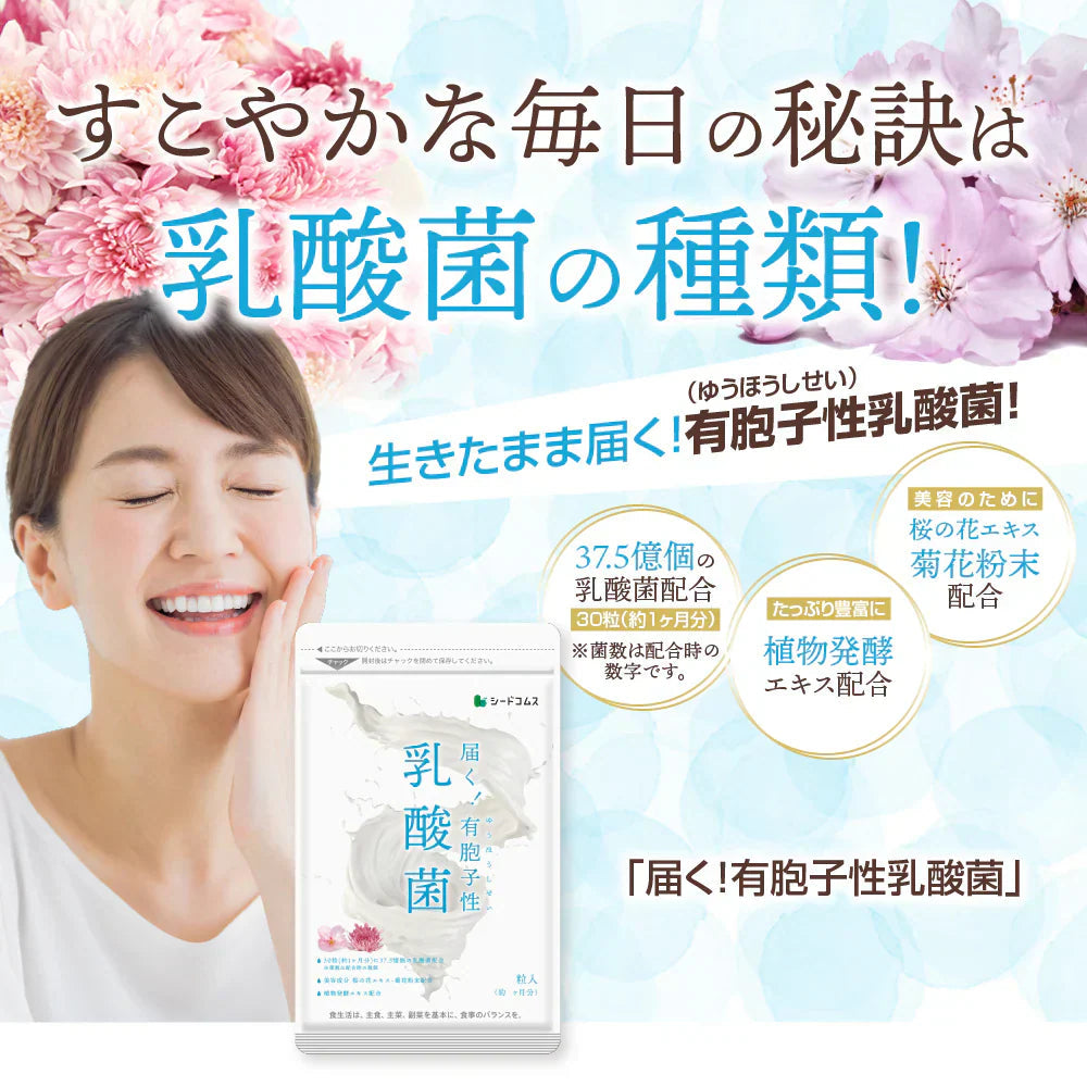 乳酸菌《約3ヶ月分》有胞子性乳酸菌ソフトカプセル/ 乳酸菌 高配合 サプリ 桜の花エキス