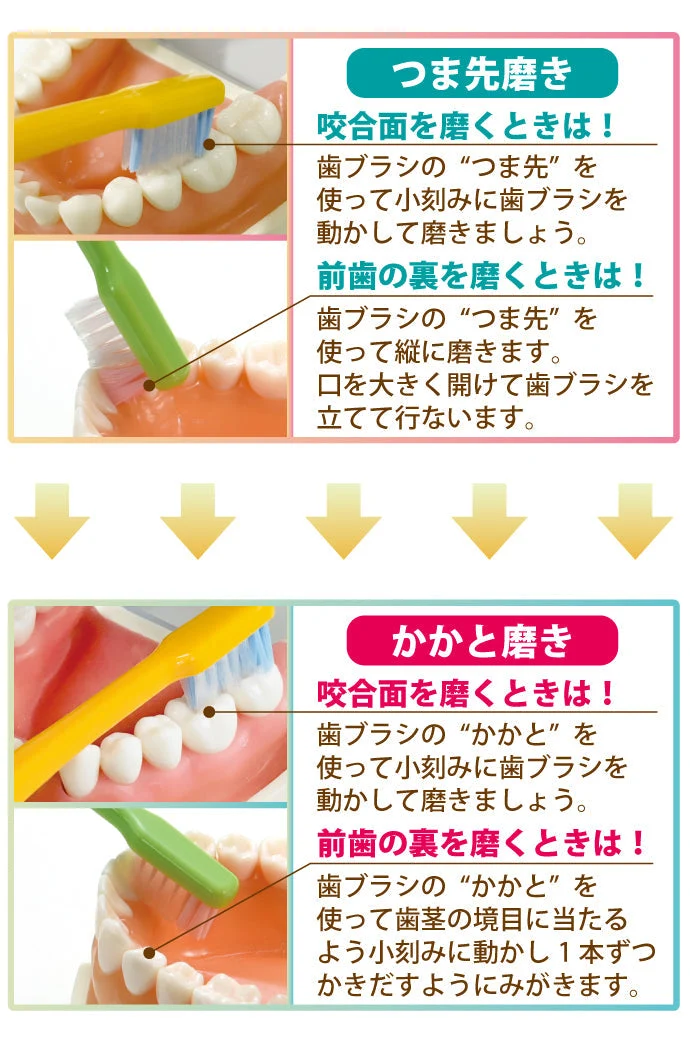 歯ブラシ まとめ買い Ci PRO PLUS（プロプラス） Sやわらかめ 50本入り