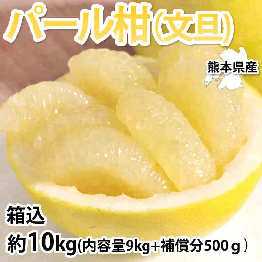 パール柑 10kg 箱込 (内容量9kg+不良果補償分500g) 文旦 みかん 送料無料 訳あり 無選別サイズ混合 熊本県産 グレープフルーツ 蜜柑
