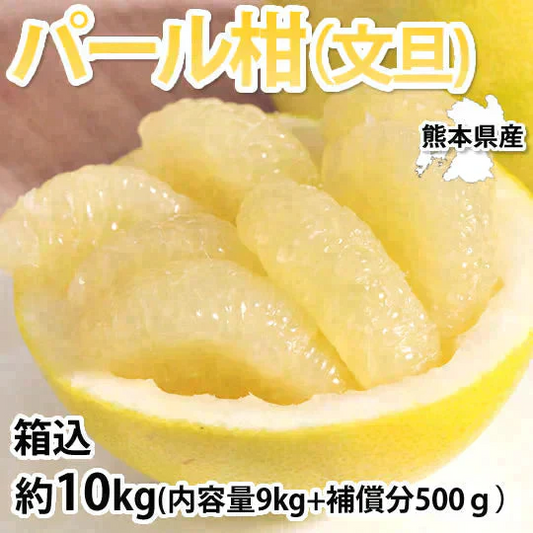 パール柑 10kg 箱込 (内容量9kg+不良果補償分500g) 文旦 みかん 送料無料 訳あり 無選別サイズ混合 熊本県産 グレープフルーツ 蜜柑