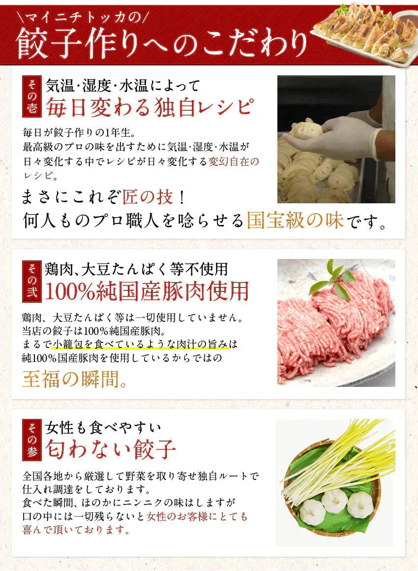 奇跡の一粒すっぴん餃子100個 絶品タレ不要味付き