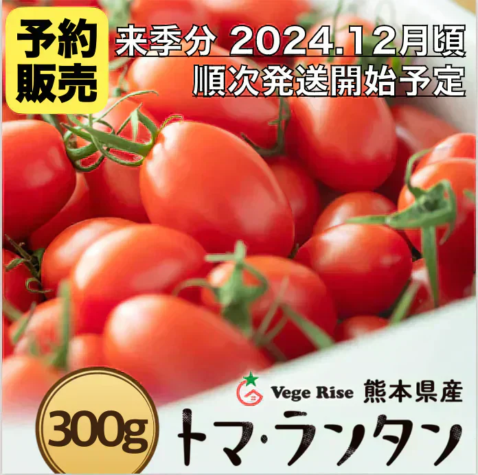 【予約販売商品／順次発送】300g トマランタン 笑顔溢れる甘さ♪超濃厚ミニトマト！【東北配送不可】