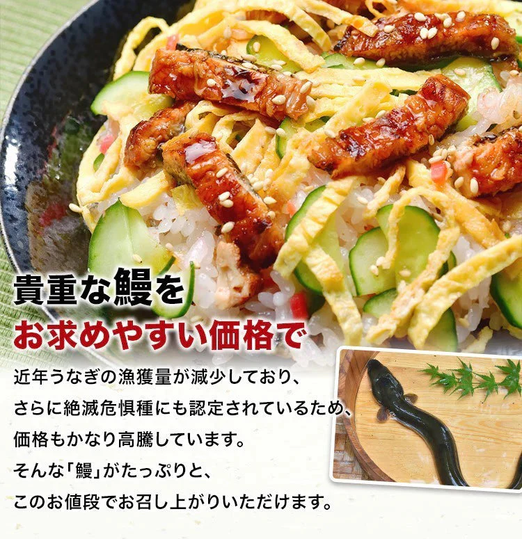 きざみ鰻 訳あり たっぷり 500g ×10パック 計5kg  鰻 うなぎ ウナギ 蒲焼 かば焼き 中国産 土用丑 土用 丑の日 スタミナ 刻み 数量限定 冷凍便 送料無料 お取り寄せグルメ 食品 ギフト