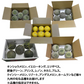 メロン 訳あり 送料無料 約4kg（2〜7玉）品種おまかせ 九州産 キンショウメロン・イエローキング・エリザベス・肥後グリーン・プリンス・レノン・タカミ・アムス・ クインシーメロン・リゾート・アンデスメロン・ホームランなど