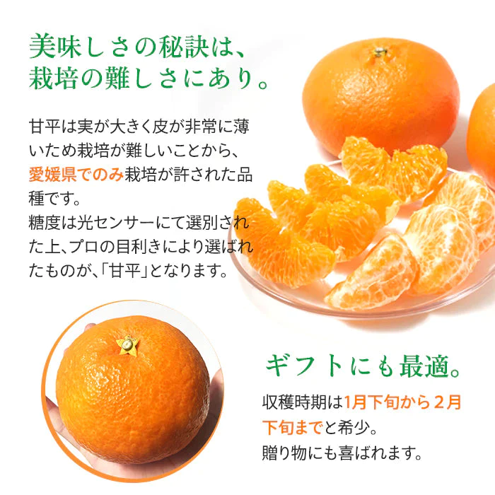 愛媛産 甘平 わけあり 2.5キロ サイズおまかせ みかん【3月上旬順次配送】