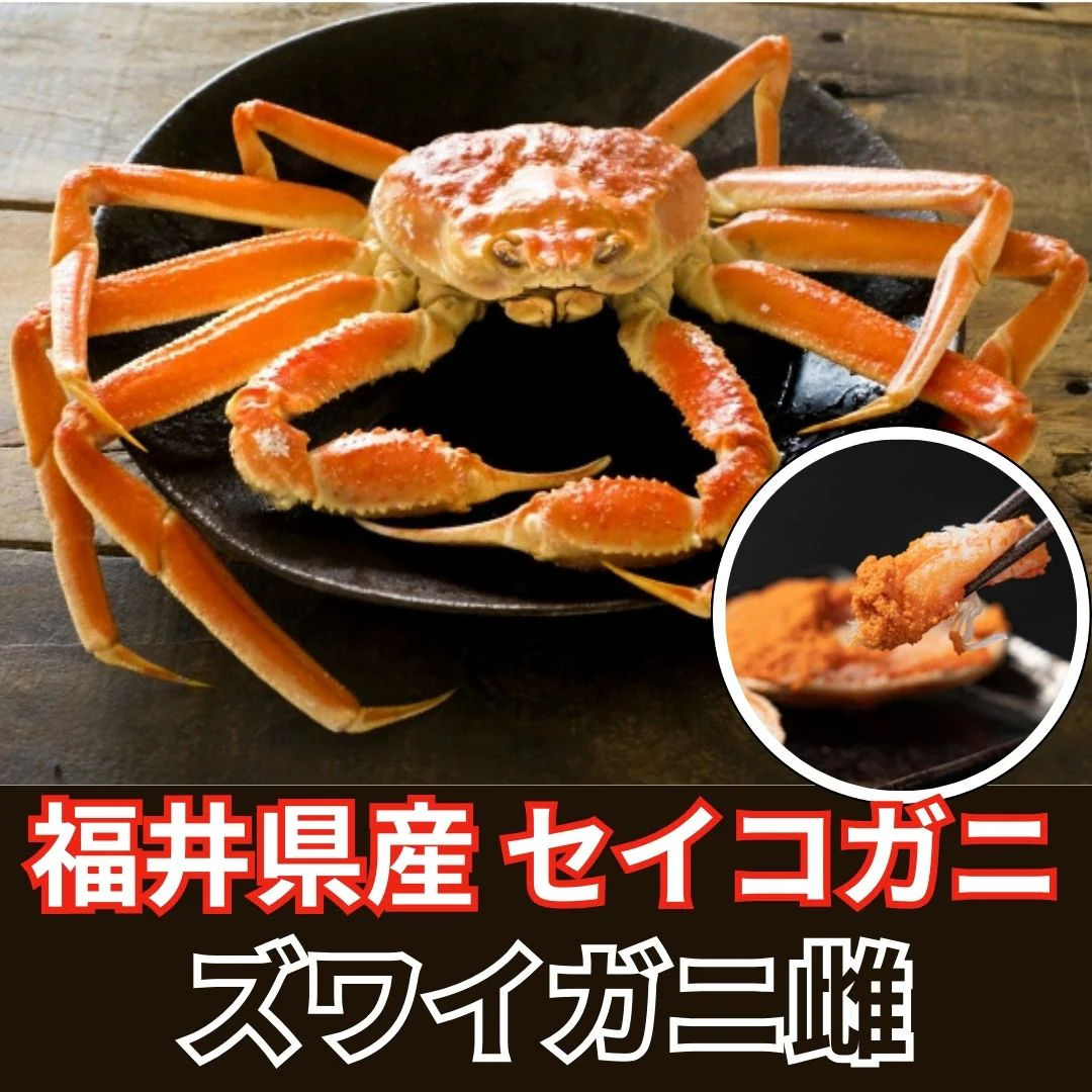 【1年で2か月しか漁ができない超希少越前ガニ！】福井県産　浜ゆで冷凍　3匹（小サイズ/1匹約100g前後）