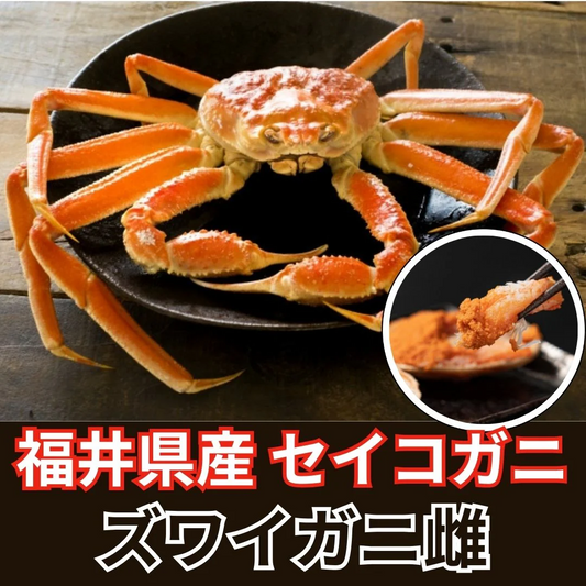 【1年で2か月しか漁ができない超希少越前ガニ！】福井県産　浜ゆで冷凍　3匹（小サイズ/1匹約100g前後）