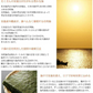 塩のり 海苔 味付け塩海苔 有明海産 送料無料 半形20枚 お取り寄せ お取り寄せグルメ 有明のり 焼きのり 熊本 天草 ご飯のお供 おにぎり 乾物 乾海苔 のり
