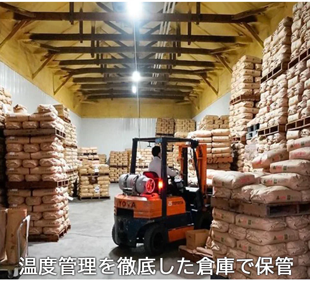 米 2kg 雪若丸 精米 山形県産 送料無料 令和6年産 ギフト 単一原料米 ブランド米 こめ コメ 白米 産地直送 kkb-004