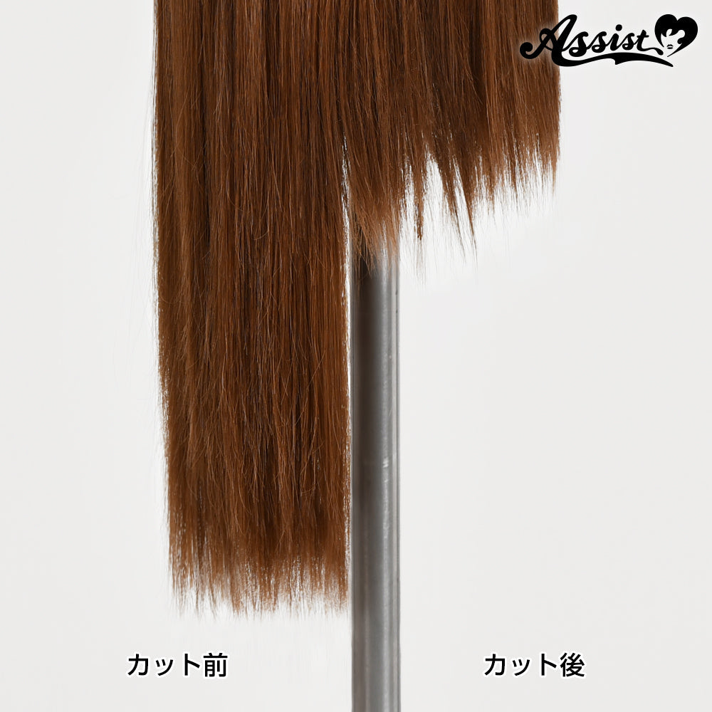 アシストウィッグ ウィッグ用カットレザー コスプレ ヘアセット シャギー はさみ