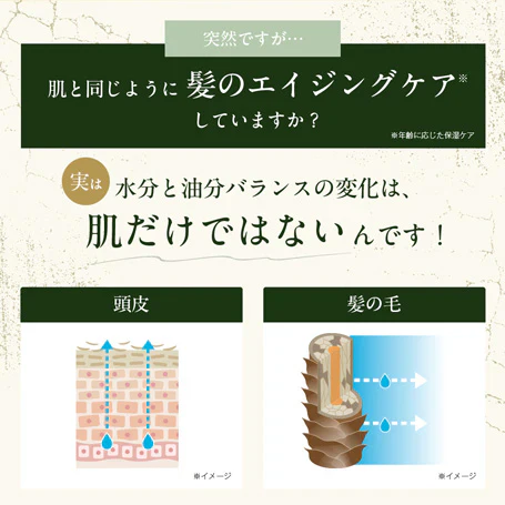【最短当日出荷】hugm ハグム ナチュラルシャンプー （ 茶の実オイル 椿オイル オールインワン ノンシリコン ノンパラベン 子ども ママ  ）