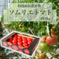 【特別栽培農産物】送料無料 受賞歴３回！ ソムリエ トマト ４～５ｋｇ（１８～２８玉）