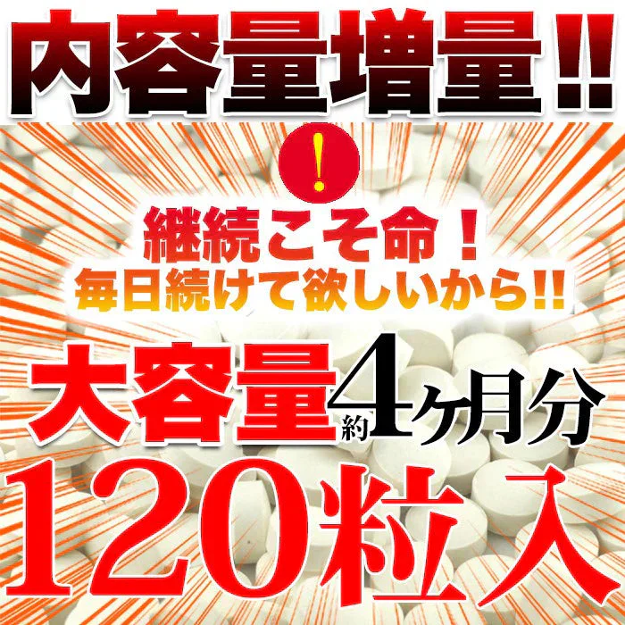 【メガ盛り 大容量お得４ヵ月分・黒セサミン＋スタミナ】 元気 活力 精力 一粒に黒ゴマ約3000粒分を凝縮! たっぷり大容量4ヵ月分 セサミン 黒ゴマ 黒ごま すっぽん スッポン ツバメ マカ スタミナ おすすめ 人気 ランキング 効果 強力 最強 通販 日本製 国産 健康サプリ 売れ筋 爆安 格安 お得 激安 コスパ最高 コスパ最強 健康食品 サプリメント