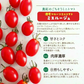 【１番早く届く！】【10月中旬頃〜12月末日までに発送】【予約】１番多い約450g！ミスルージュ ミニトマト(280~300g+保証分150g)日本一の産地から農家直送 熊本県産 野菜 青果 フルーツ【カウシェファーム収穫対象商品】