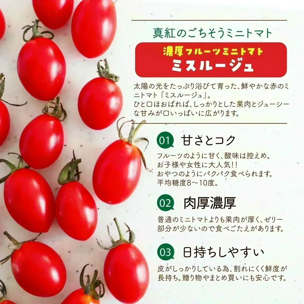 【１番早く届く！】【10月中旬頃〜12月末日までに発送】【予約】１番多い約450g！ミスルージュ ミニトマト(280~300g+保証分150g)日本一の産地から農家直送 熊本県産 野菜 青果 フルーツ【カウシェファーム収穫対象商品】