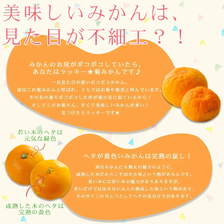 みかん　吉田みかん　５ｋｇ　ｆ吉０５　家庭用　M～2L　愛媛　吉田　果物　フルーツ　柑橘　ミカン　蜜柑　　訳あり　送料無料