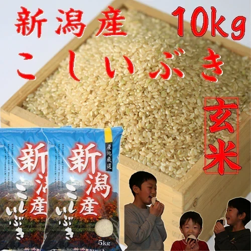 新米 令和8年 玄米 10kg 送料無料 米10kg 新潟県 こしいぶき 玄米 10kg 【5kg×2袋】米 玄米10キロ 農家直送 美味しい玄米 新潟県産米 安い お米 10キロ