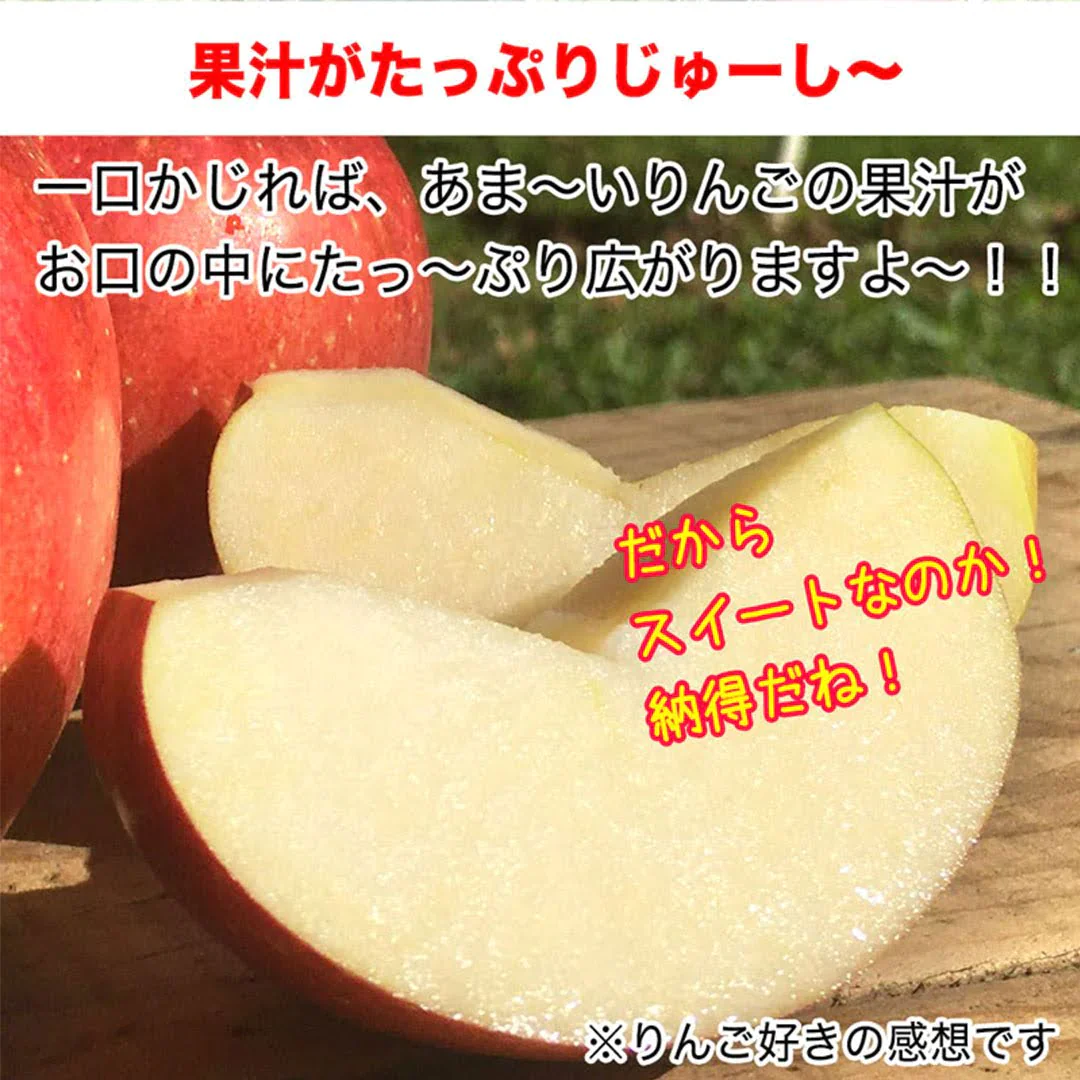 【2023年産予約開始！数量限定！】シナノスイート 訳あり 約2.5kg(6-14玉) やさしい甘さでジューシー！10月中旬頃発送開始予定 #YAS0B025