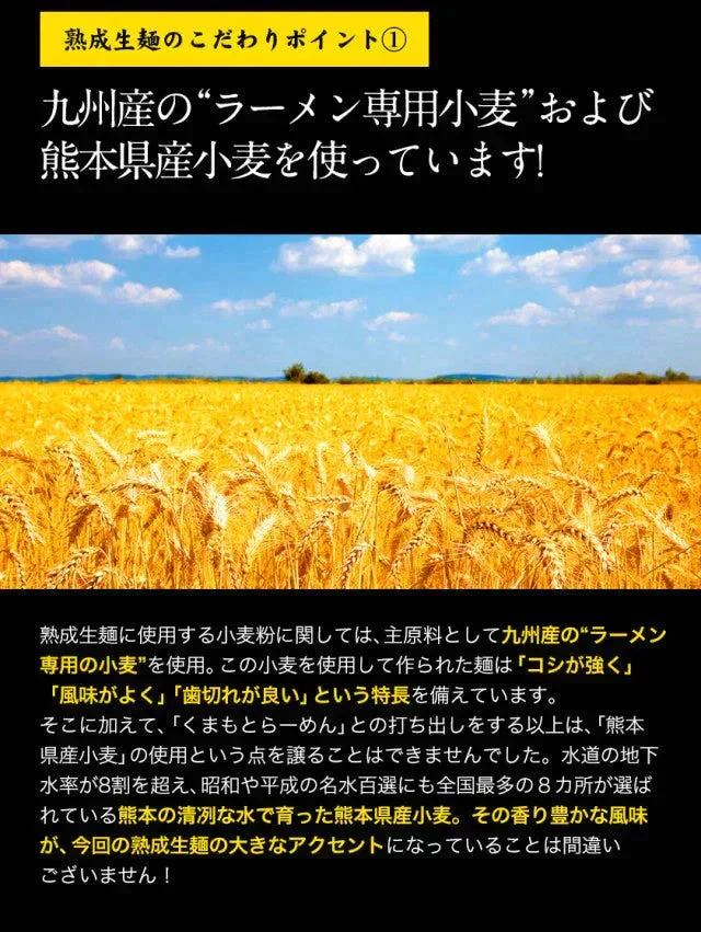 熊本ラーメン 6食セット 生麺 液体スープ 中太麺 豚骨ラーメン《7-14営業日以内に出荷予定(土日祝除く)》【特産品・ご当地特集】【ご新規さん限定商品】