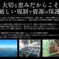 伊勢海老 千葉県産 外房イセエビ 小サイズ×4〜5尾 刺身 冷凍 伊勢エビ 伊勢えび えび エビ 海鮮 魚介 プリプリ 濃厚 グルメ 贈り物 ［送料無料］ 母の日 プレゼント ギフト  母の日思いの 健康 実用的 父の日 子供 孫