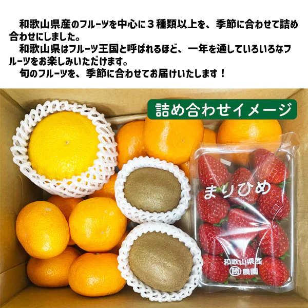 国産 フルーツ詰め合わせ ３種類以上 旬フルーツ 和歌山県産 詰め合わせ セット ギフト 贈答