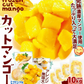 マンゴー 冷凍 完熟 カット済み 10kg （500g×20袋） 無添加 砂糖不使用 ベトナム産 大量 冷凍マンゴー