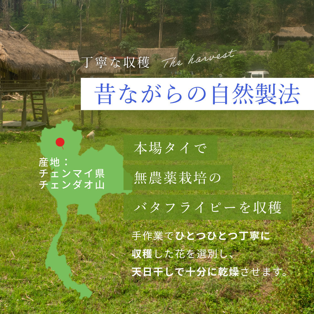 バタフライピー 無農薬 茶葉 50g 2袋 京都お茶工場製造 ハーブティー ノンカフェイン 無着色 無香料無農薬 青いお茶 青い花 蝶豆花茶 映え タイ ブルー ハーバルティー アントシアニンが豊富 エイジングケア 美容 健康 天然色素 オーガニック