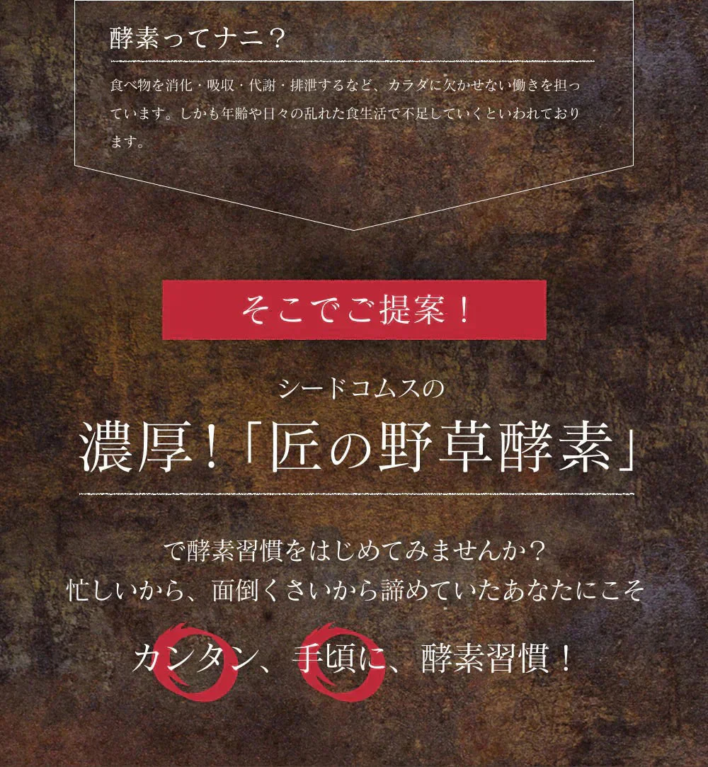 『ご購入の方10人に1人DHAサプリ1ヶ月分が当たる』匠の野草酵素《約3ヶ月分》  送料無料 サプリ サプリメント 酵素 野草酵素 健康  スーパーフード 健康食品 野菜不足 乳酸菌 ダイエット 美容 ビタミン ビタミンC【大容量】