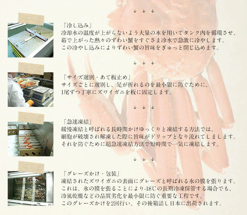ずわい蟹 姿 600g前後×3尾 ズワイガニ ずわいがに 冷凍蟹 かに 蟹 カニ ずわい ズワイ 冷凍かに 鍋 蟹鍋 かに雑炊 かに汁 カニ雑炊 カニ汁 お取り寄せグルメ 贈り物 ［送料無料］ 母の日 プレゼント ギフト  母の日思いの 健康 実用的 父の日 子供 孫