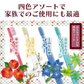 歯ブラシ Ci20カラー / MSやややわらかめ 10本入【Ciメディカル 歯ブラシ】【メール便送料無料】