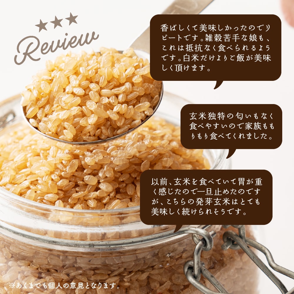 雑穀 雑穀米 国産 発芽玄米 24kg(400g×60袋) 業務用サイズ 無添加 無着色 送料無料